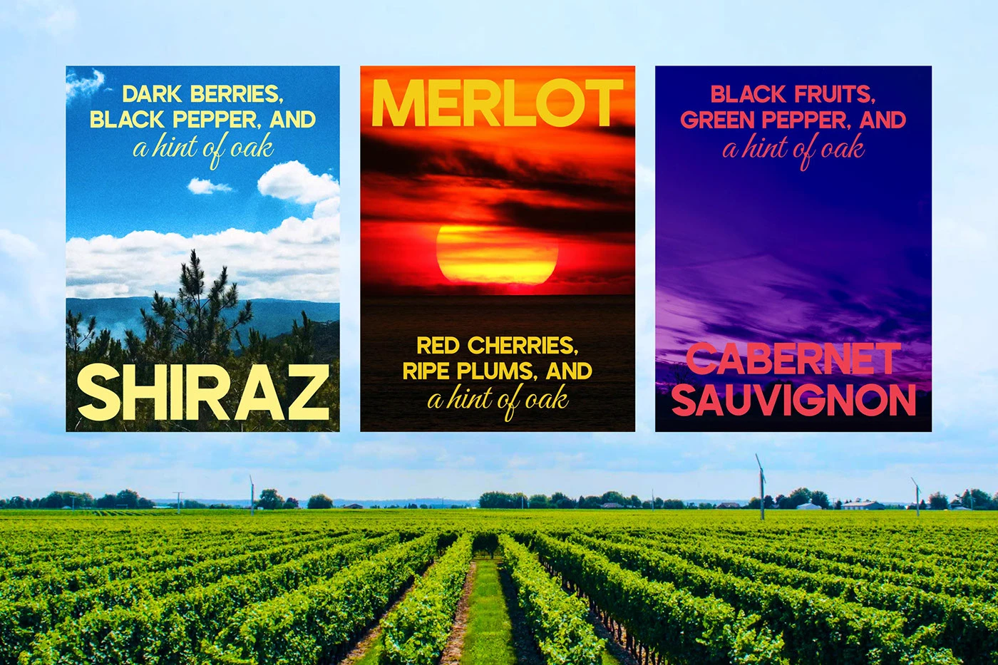 Chateau Dalat wine packaging design