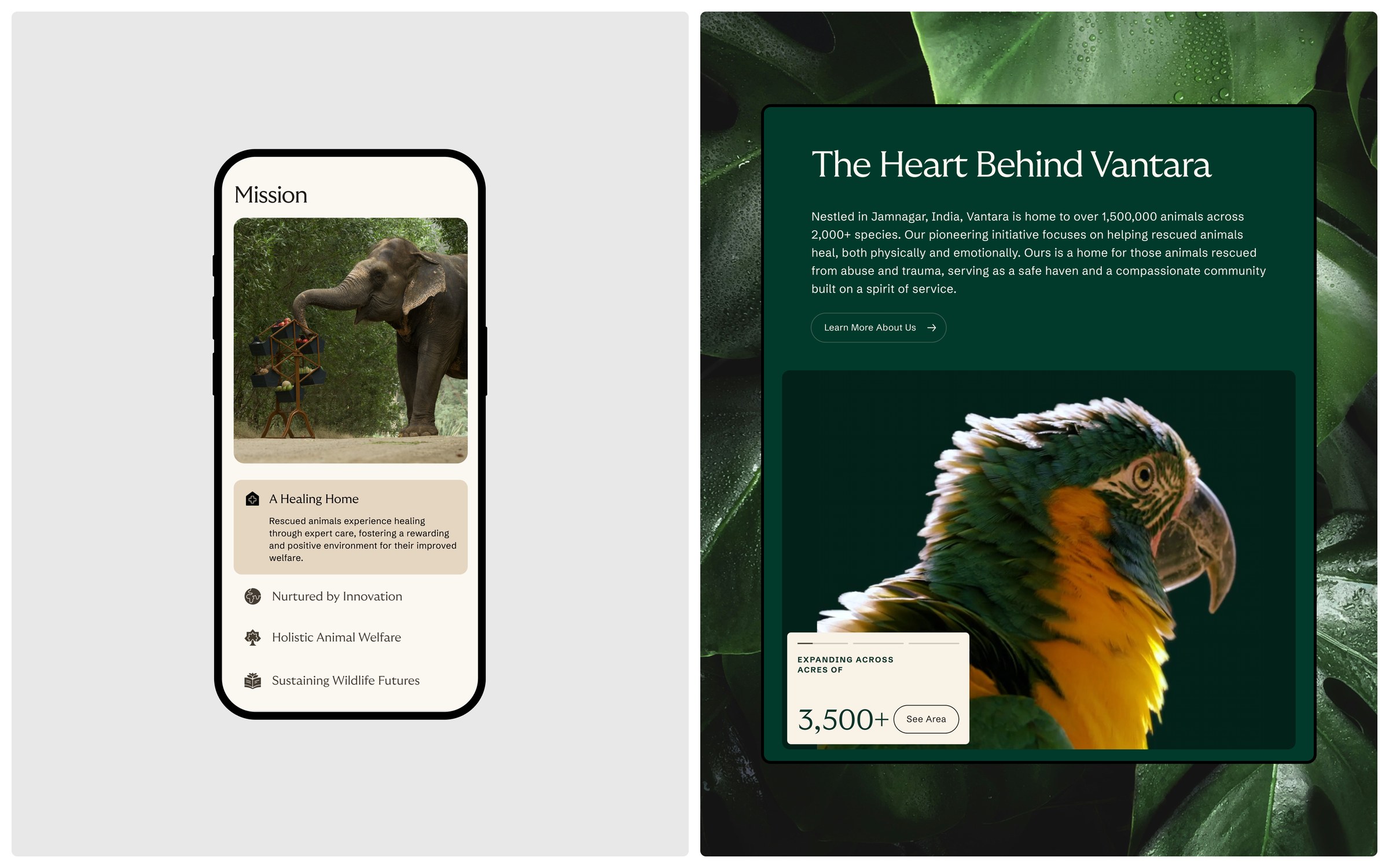Vantara 3D habitat maps and research zone visualization — web design by Clay