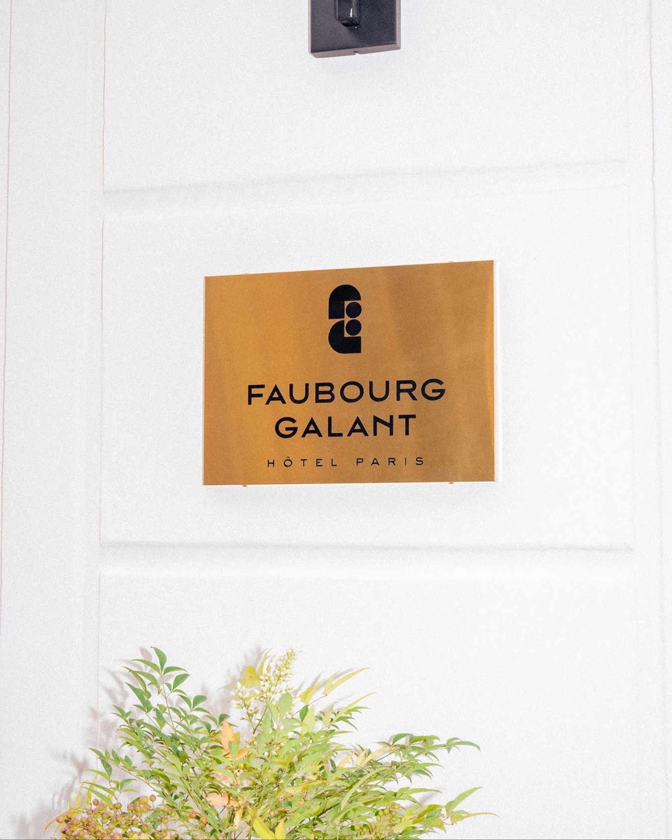 Faubourg Galant branding engraved gold brass entrance plaque