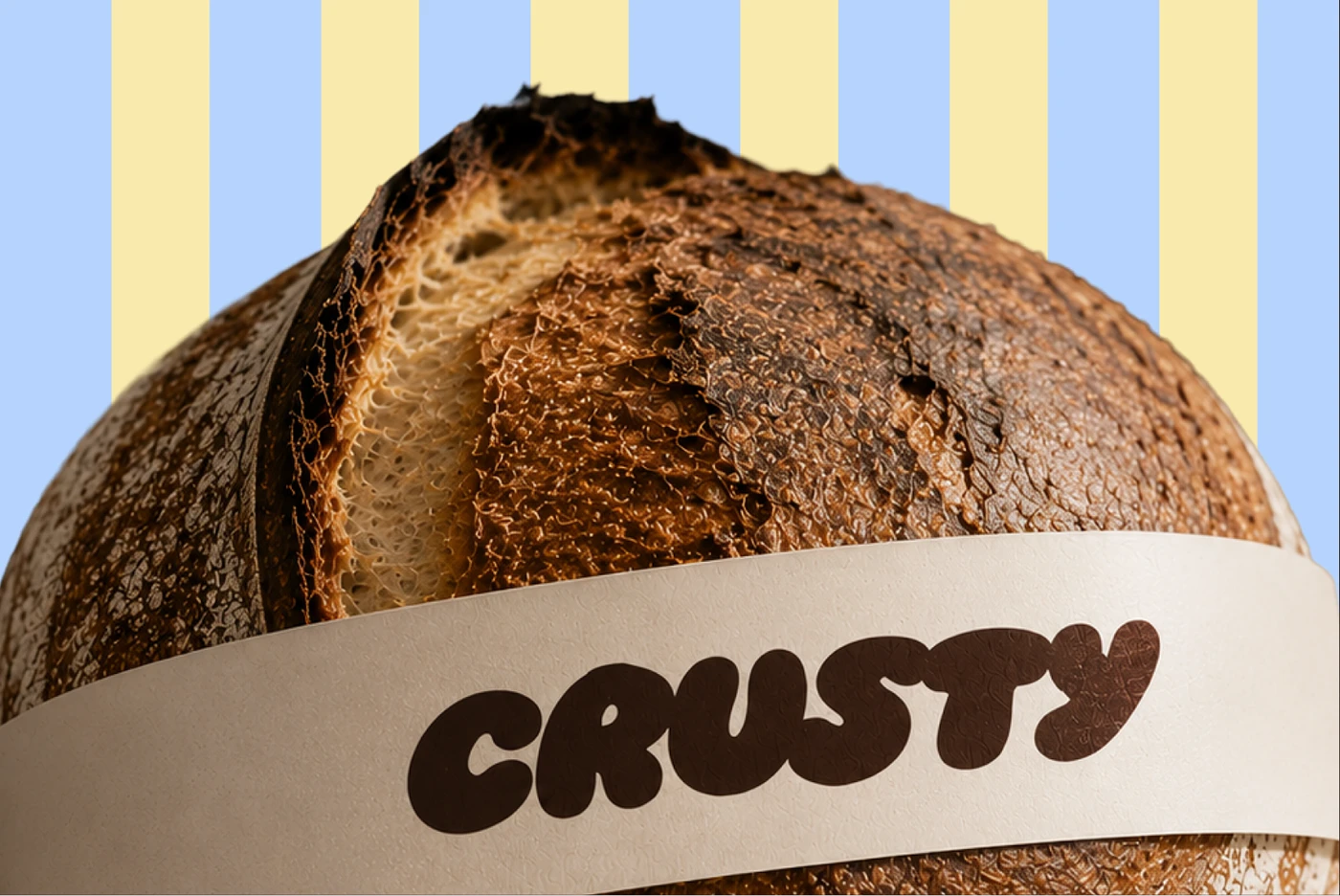 Crusty branding packaging graphics layout
