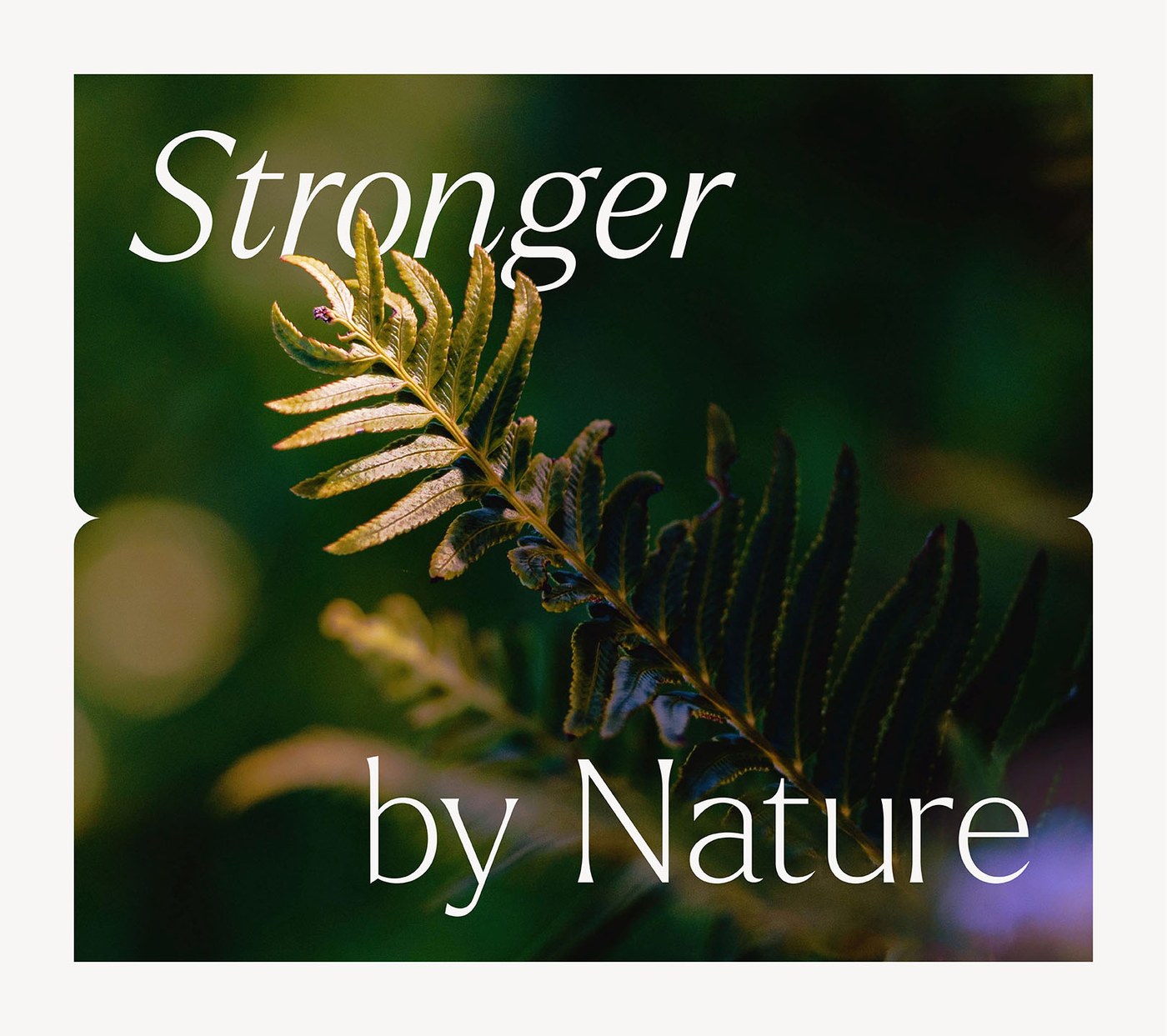 Aire Park brand identity design Stronger by Nature typography framing