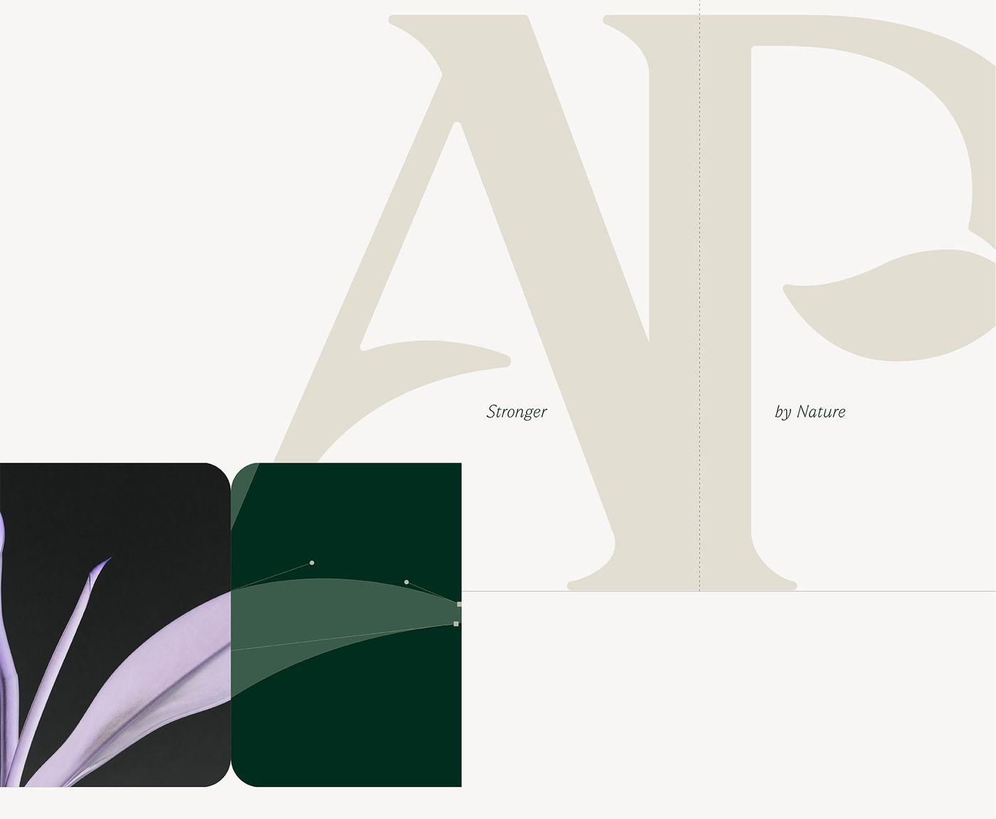 Aire Park brand identity design AP monogram leaf terminal construction