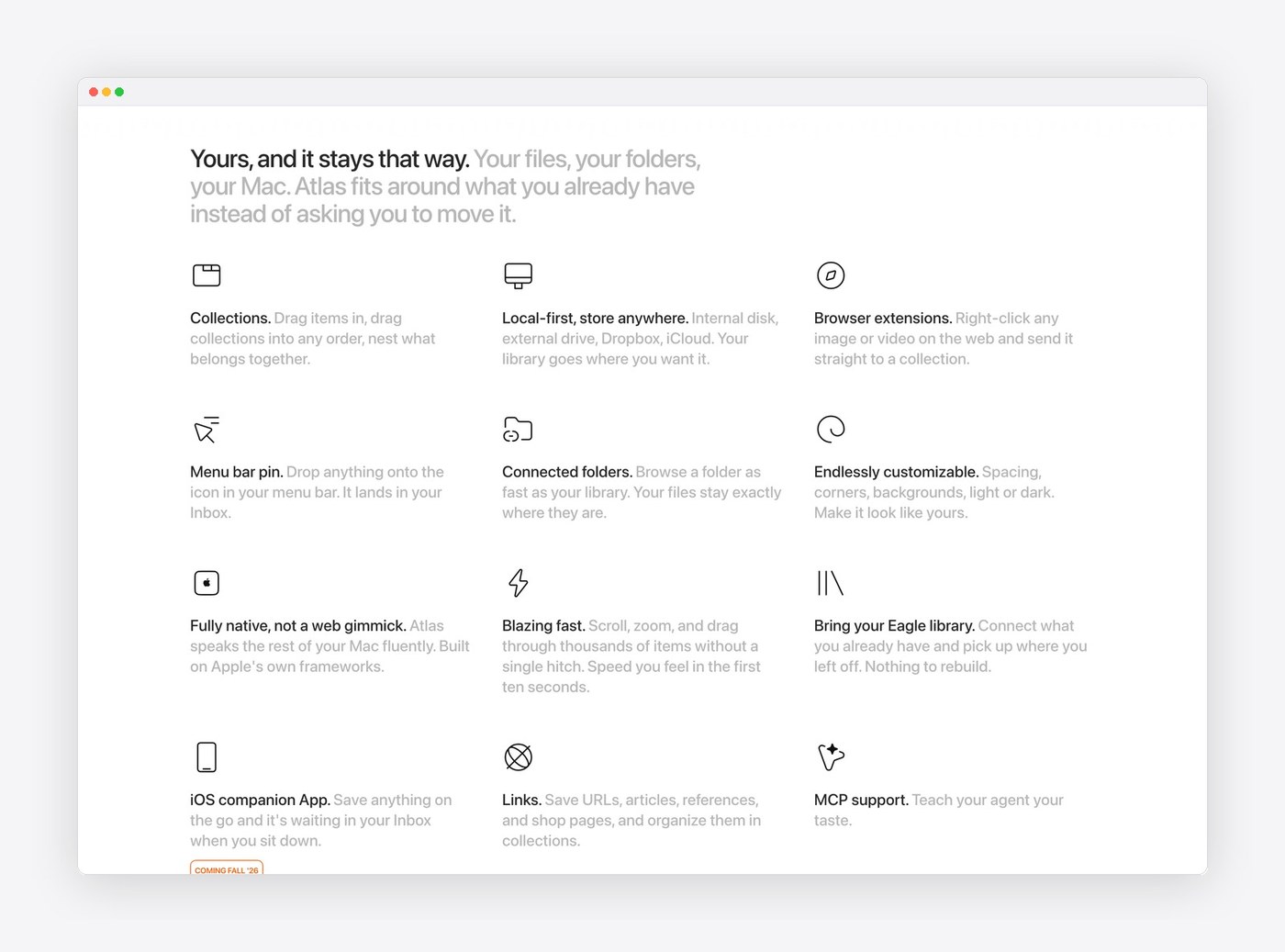 Minimalist feature grid displaying local storage, browser extensions, and MCP support