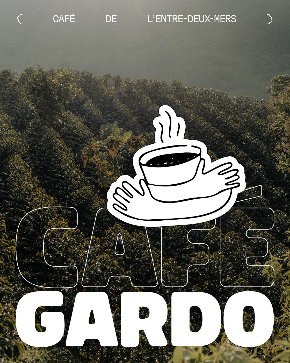 Agroforestry coffee terroir photography by Grant Harder for Café Gardo packaging design