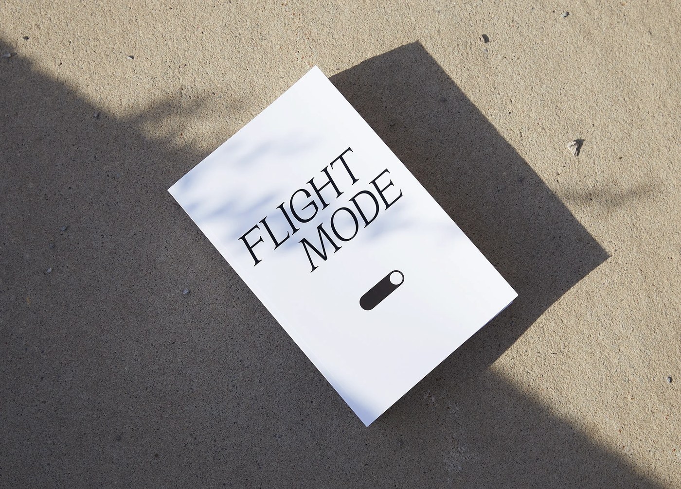 flightmode exhibition identity catalogue heather lynn billyclub outdoor wayfinding environmental graphics