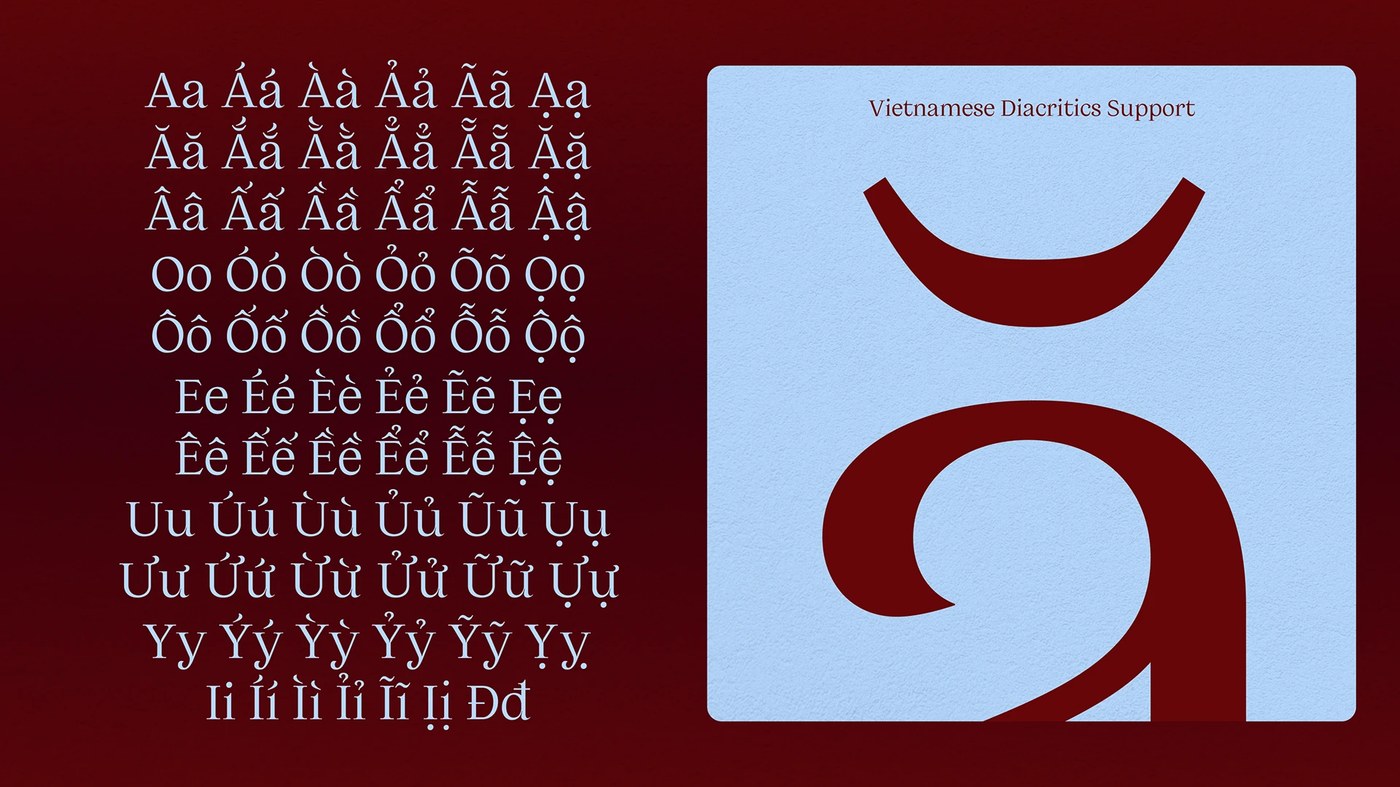 Vietnamese diacritics and character details in typography design