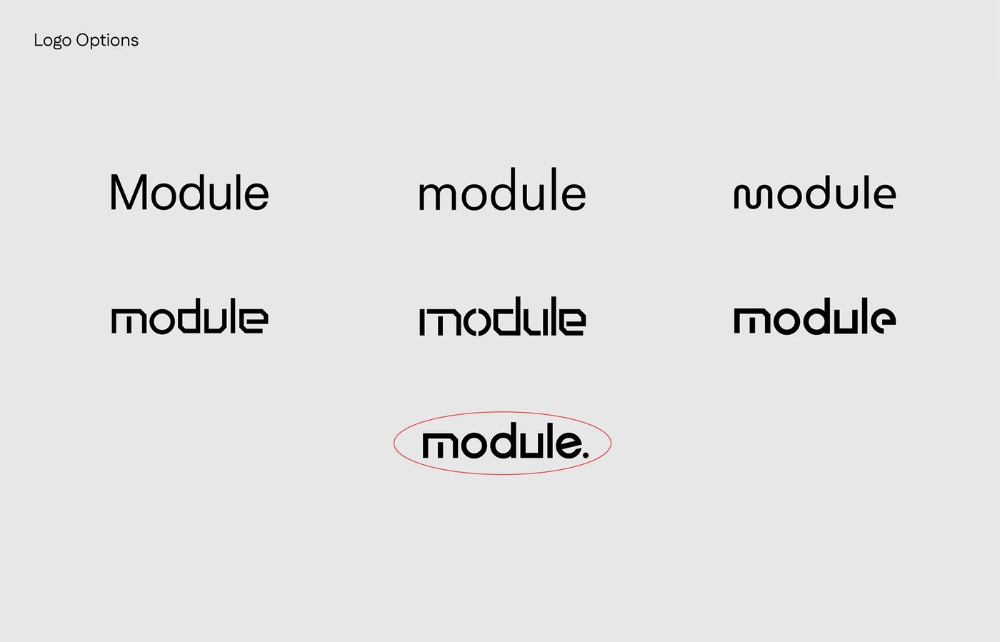 Module logo design explorations and typographic development options
