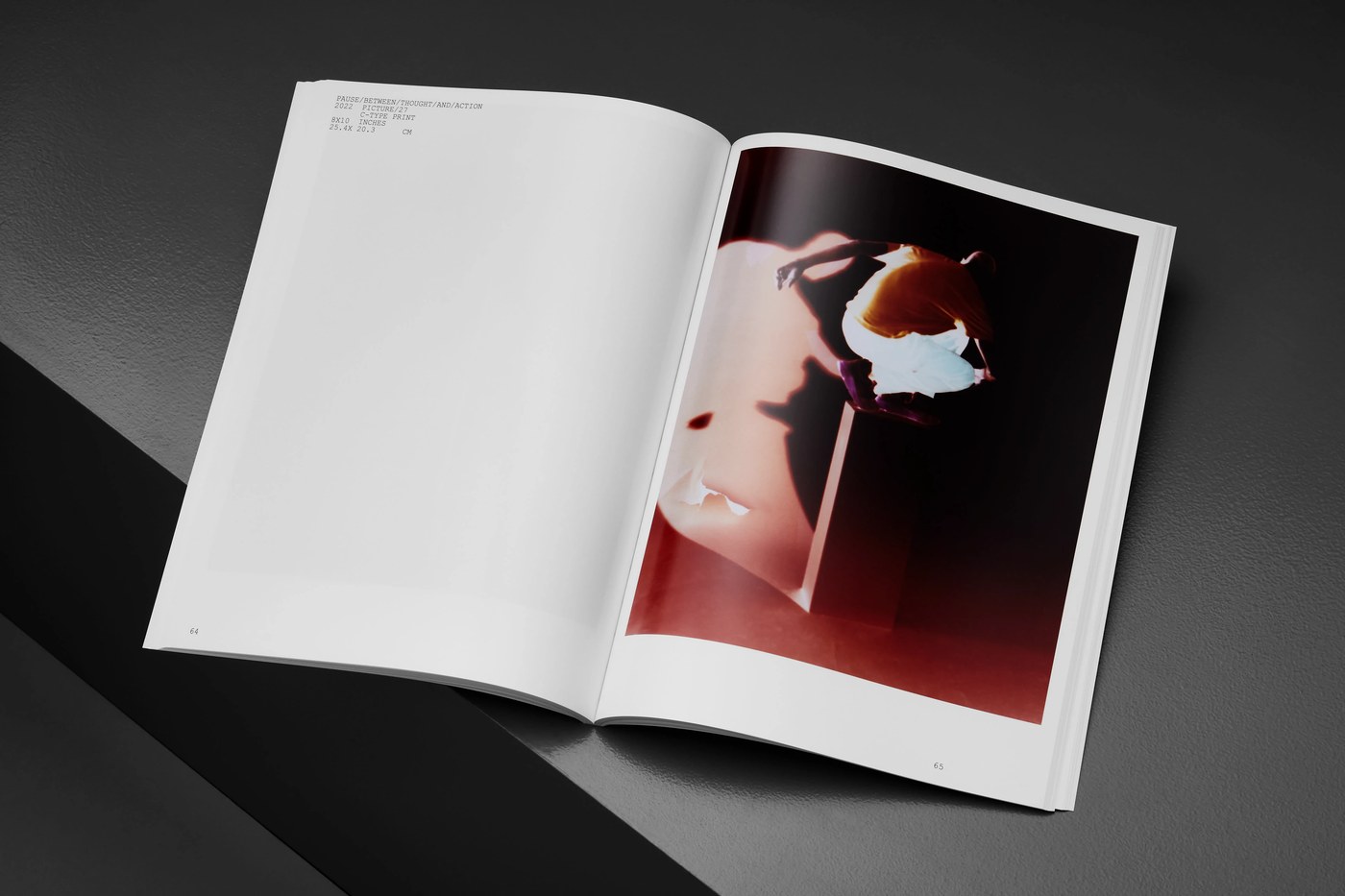 Photographic monograph spread featuring experimental portrait luminogram and catalog metadata — editorial design by Lundgren+Lindqvist