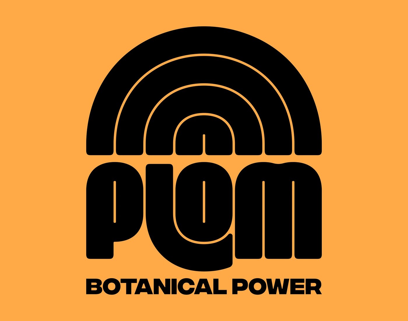 Plom concentric arches brand emblem and custom typography — brand identity by Brand Brothers