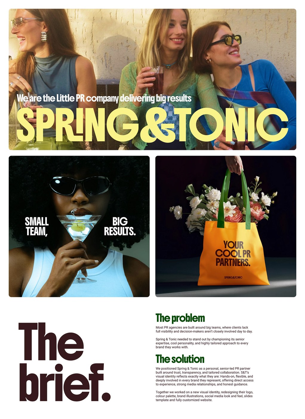 Spring & Tonic visual identity system botanical illustration poster