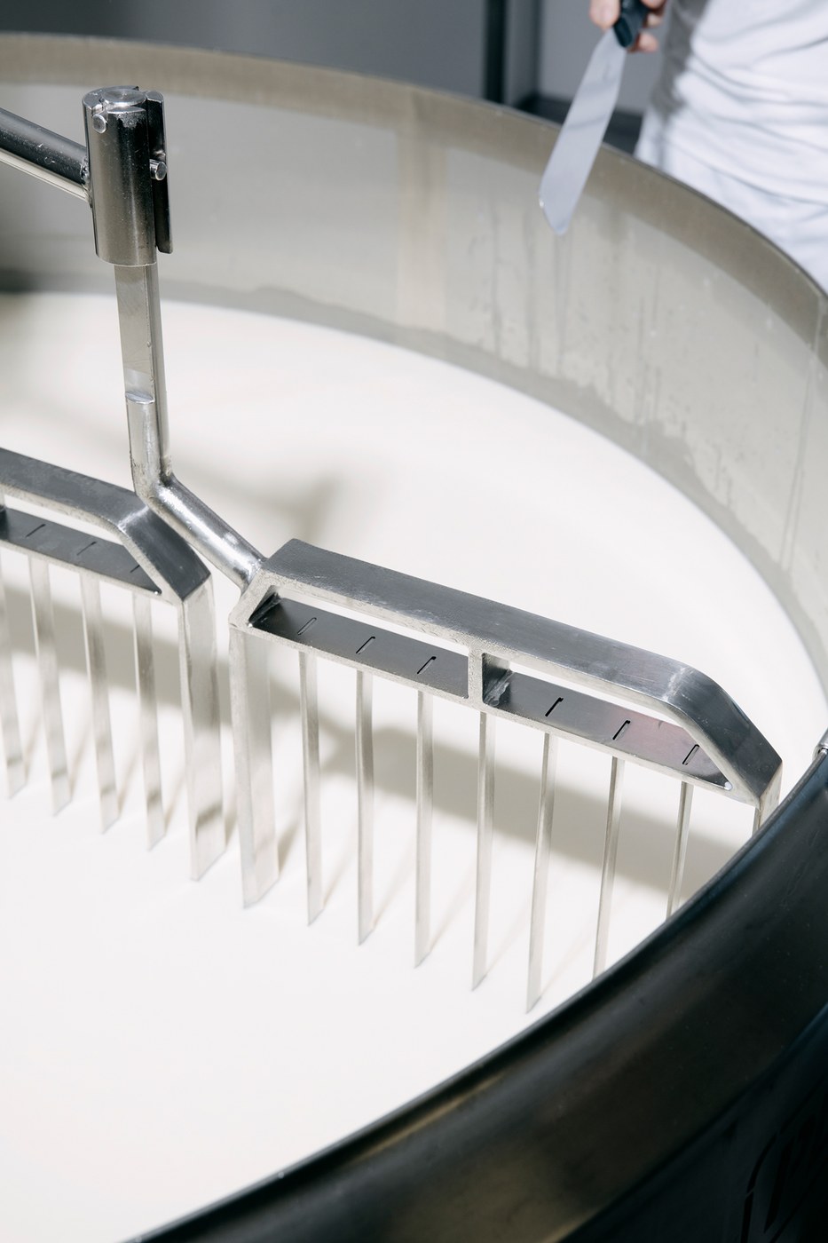 Stainless steel curd harps cutting fresh unpasteurized milk inside a circular vat during the artisanal cheesemaking process