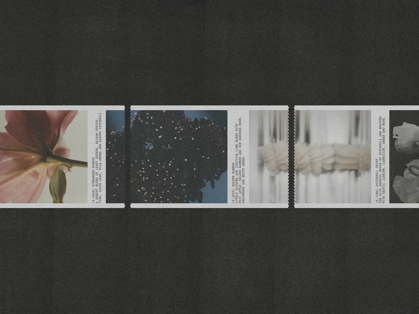 Magnified botanical photography in Uniscent branding design by Lundgren+Lindqvist