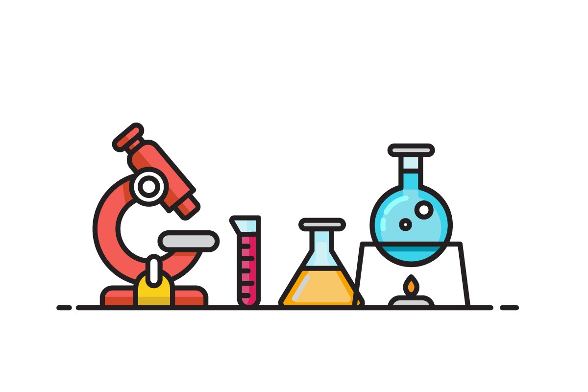 illustration design branding visual identity graphics