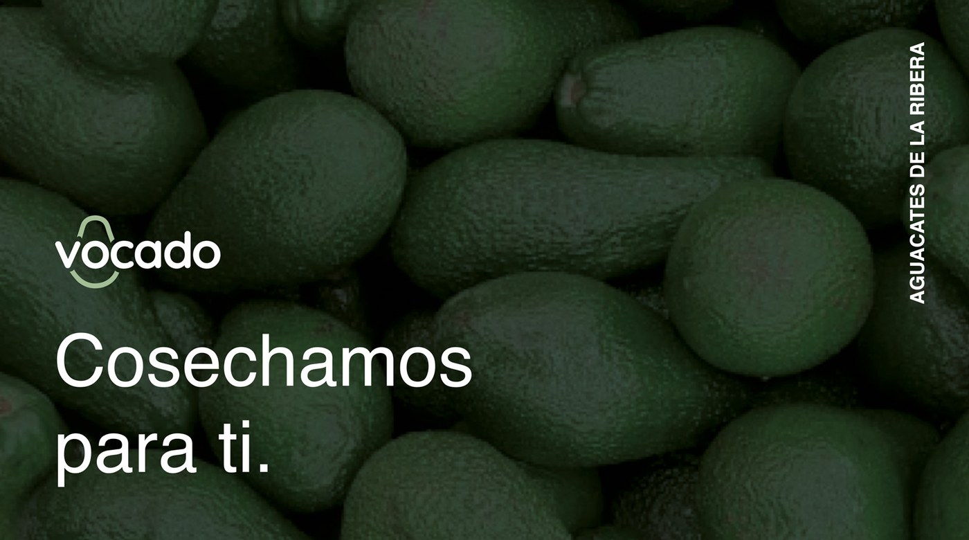 Vocado campaign poster featuring typography over harvest photography