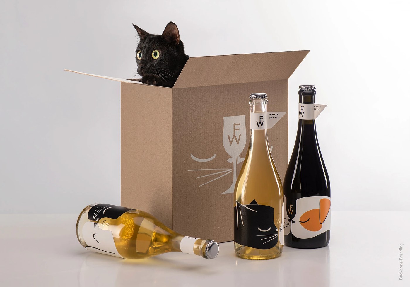 Kraft cardboard shipping carton and bottles in packaging design by Backbone Branding