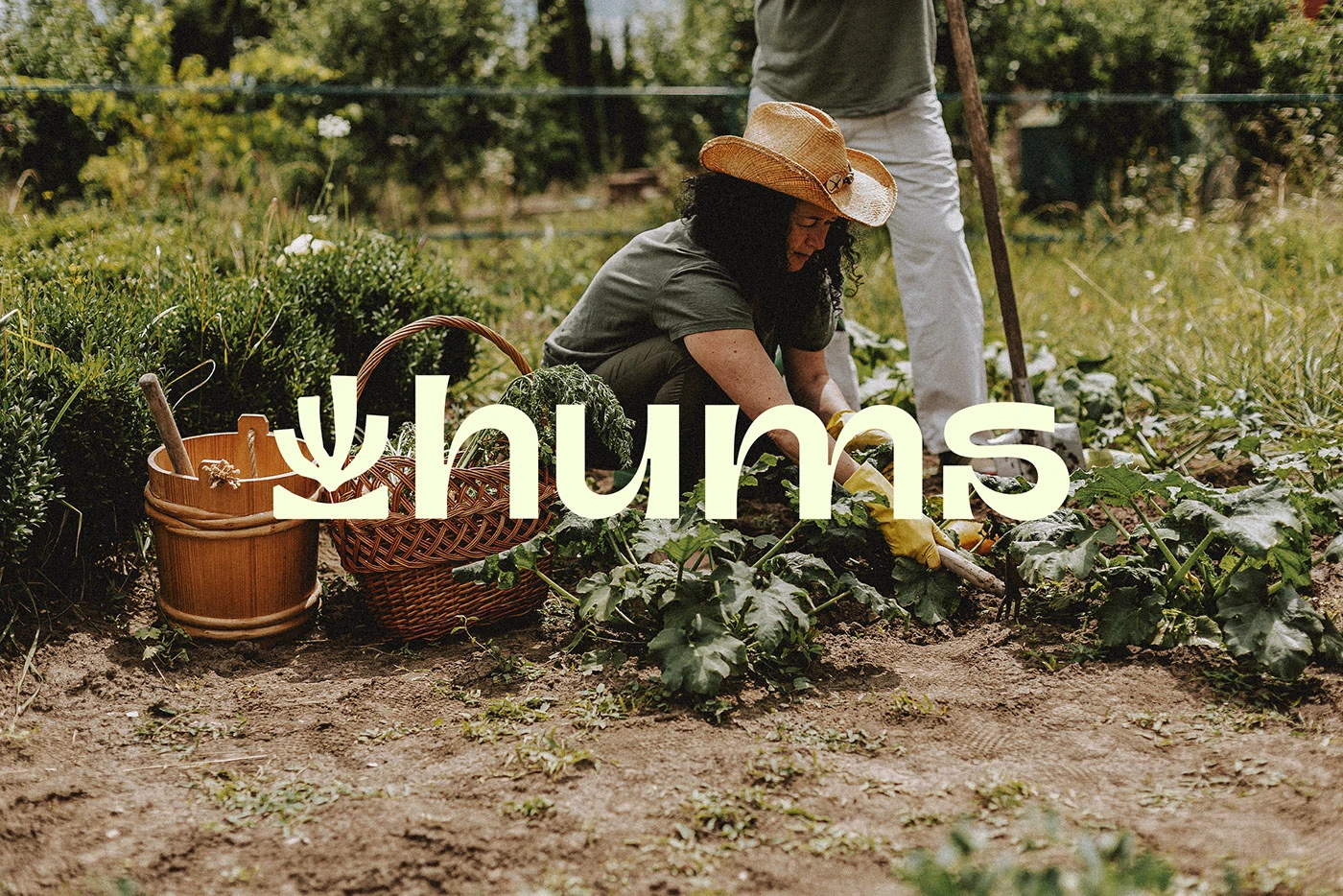Hums branding identity typography details