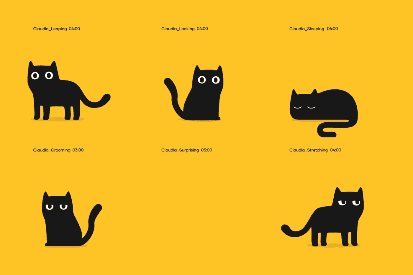 Petbarn branding motion graphic animation 2