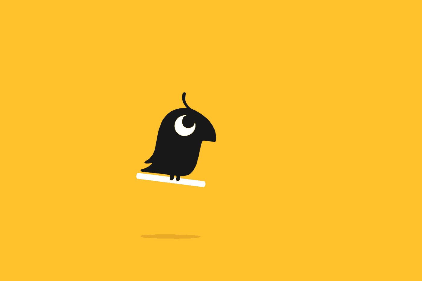 Petbarn branding motion graphic animation 3