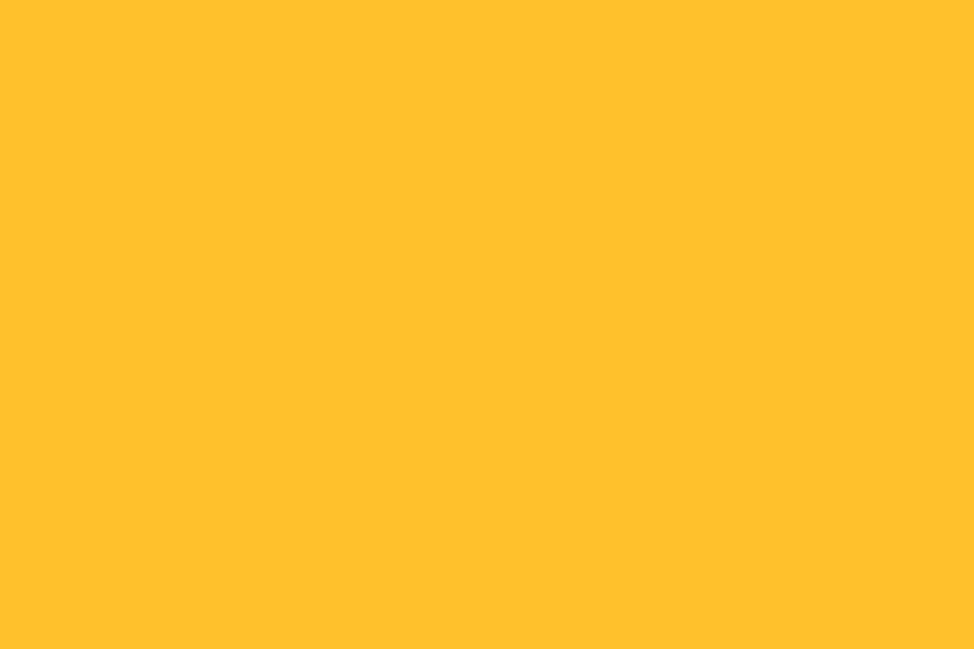 Petbarn branding motion graphic animation 6