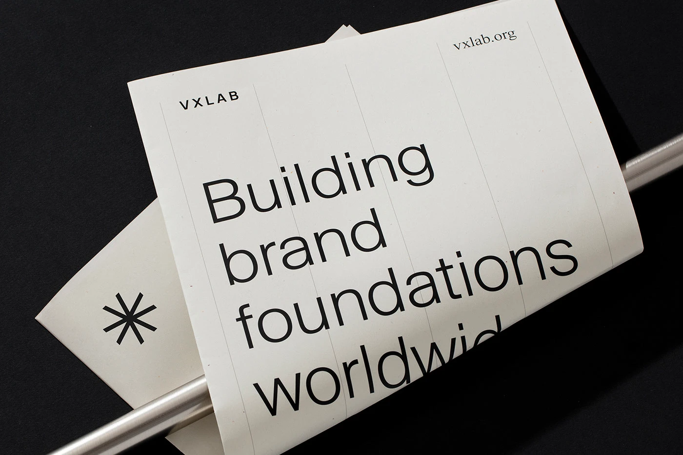 VXLAB hero packaging mockup branding