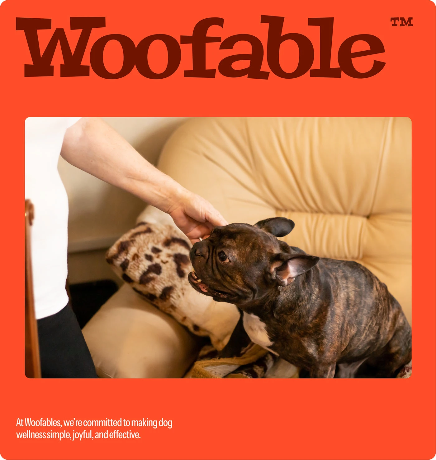 Woofable branding identity typography details