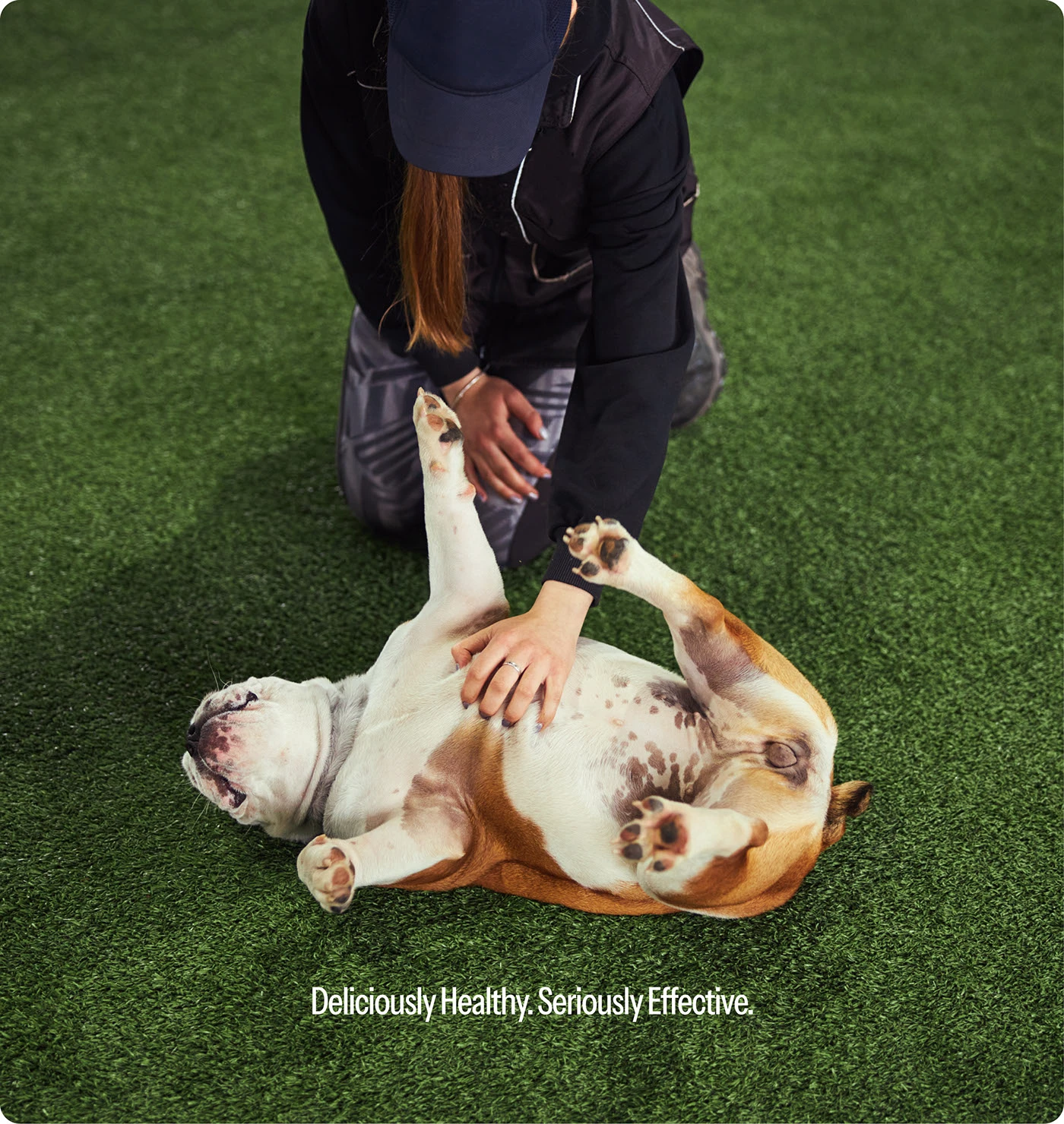 Woofable branding color system design