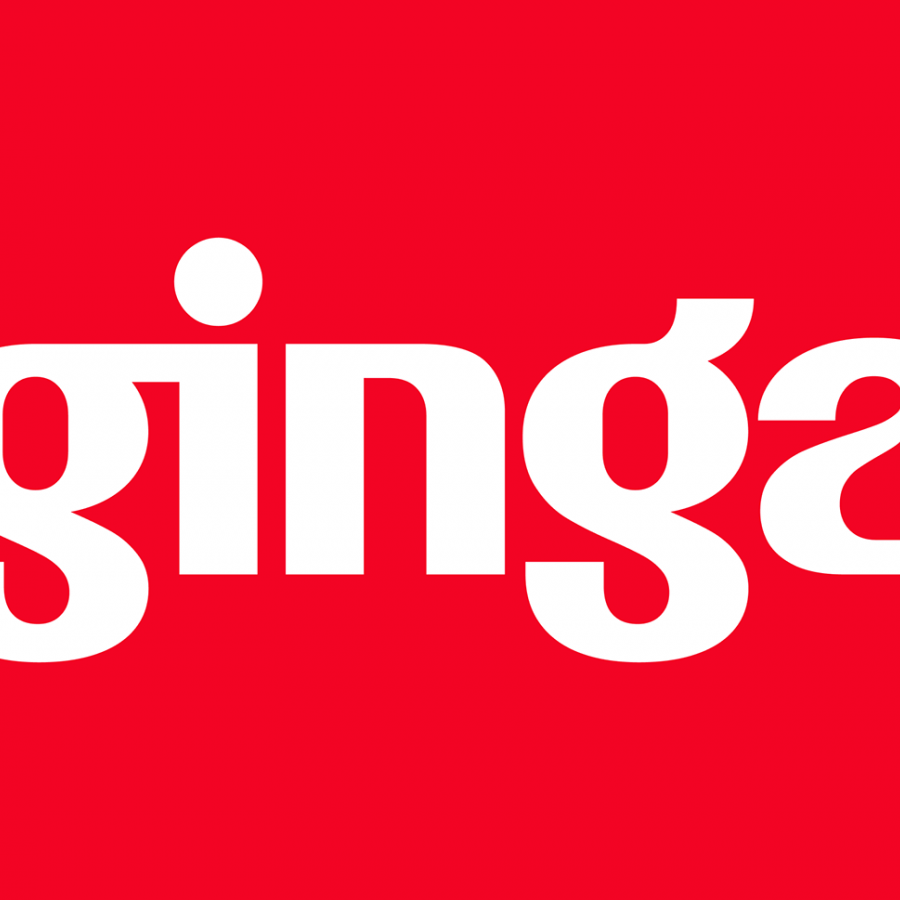 Branding System for Ginga Capoeira Cultural Project