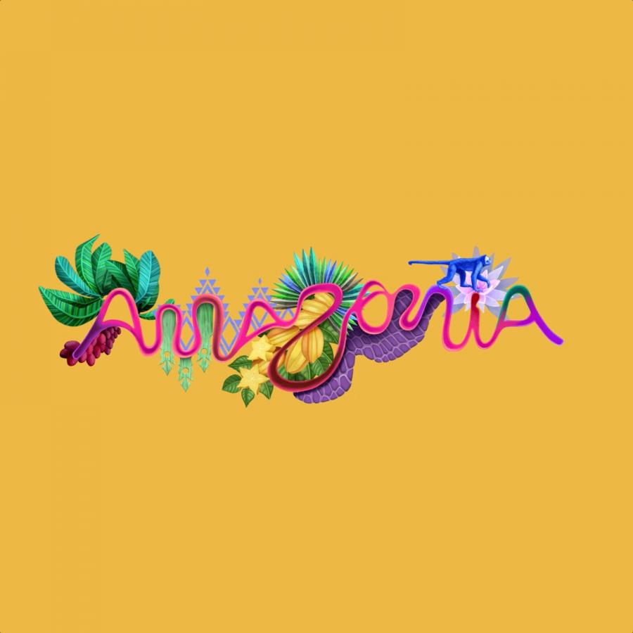 New Visual Identity for Brazilian Amazon Tourism