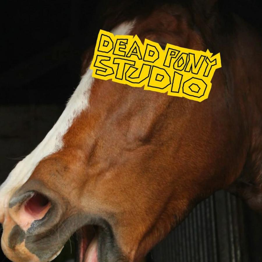Deadpony Studio Brand Identity Design by Anna Matevosian