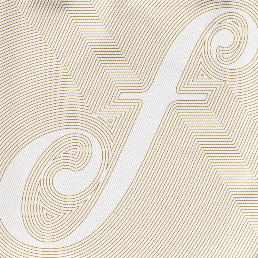 Branding embodies bold, sophisticated vision of the Fisher Center