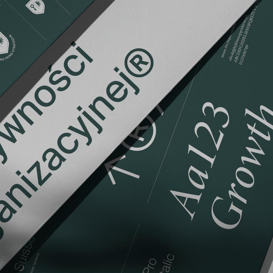 Inventity branding - a cohesive visual identity for ambitious growth