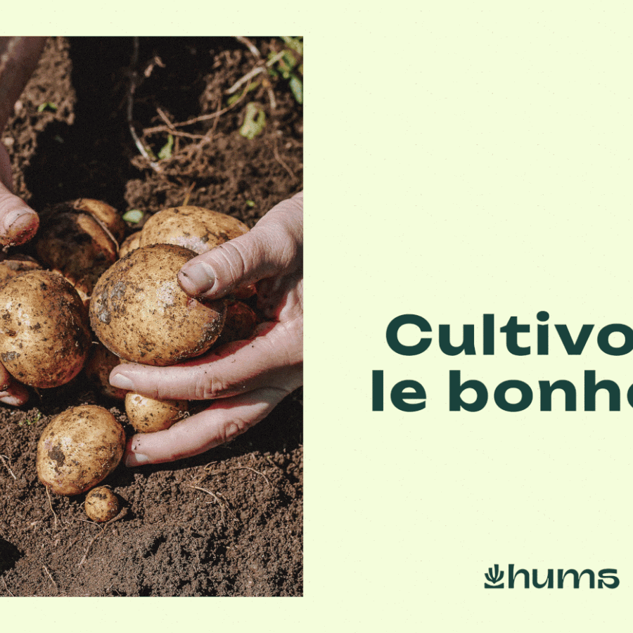 Julien De Meyère Crafts Dynamic Branding for Hums